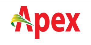 Apex Footwear